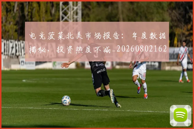 电竞菠菜北美市场报告：年度数据揭秘，投资热度不减_20260802162800